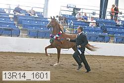 13r14_1601 proof