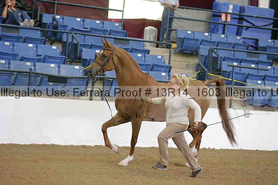 Proof 13r14_1603