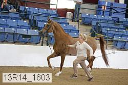 13r14_1603 proof