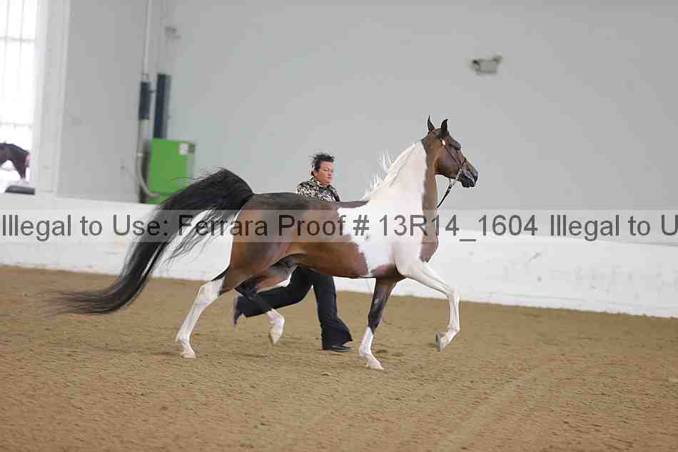 Proof 13r14_1604