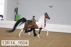 13r14_1604 proof