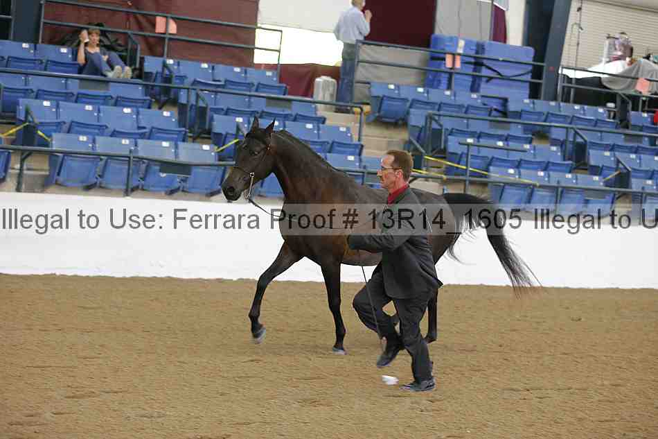 Proof 13r14_1605