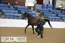 13r14_1605 proof