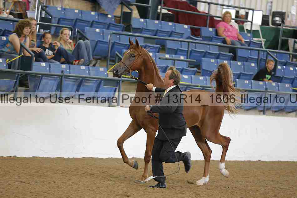 Proof 13r14_1606