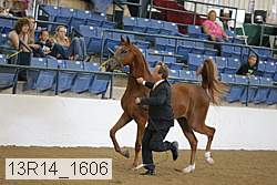 13r14_1606 proof