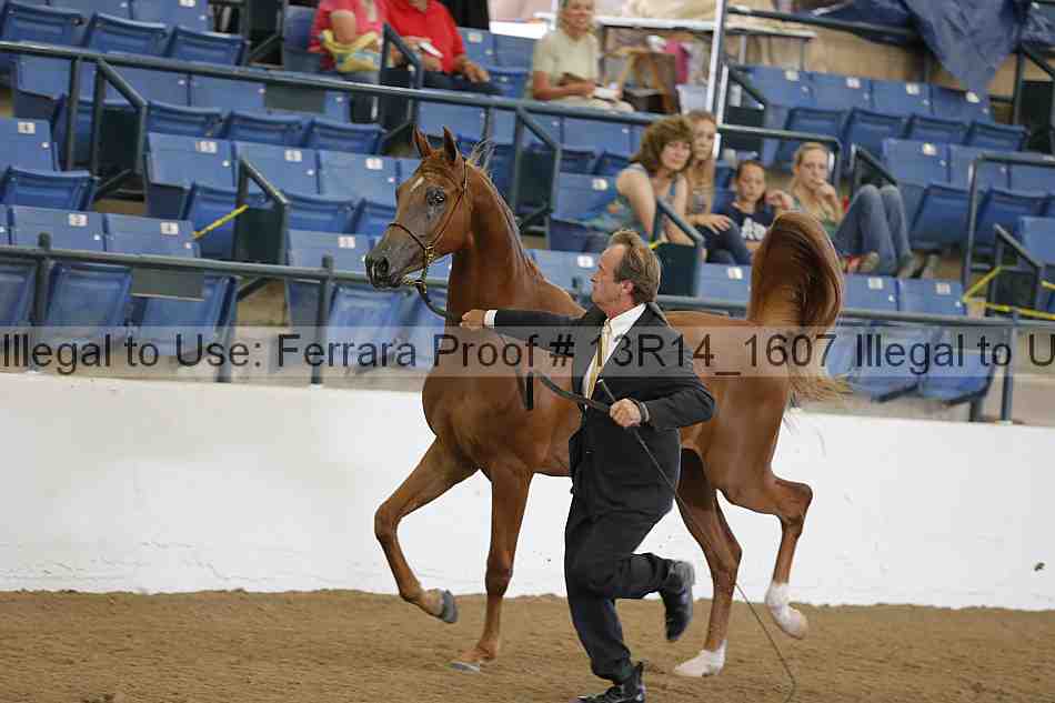 Proof 13r14_1607