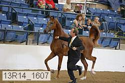 13r14_1607 proof