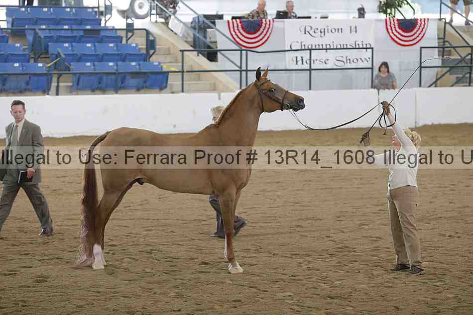 Proof 13r14_1608