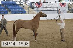 13r14_1608 proof