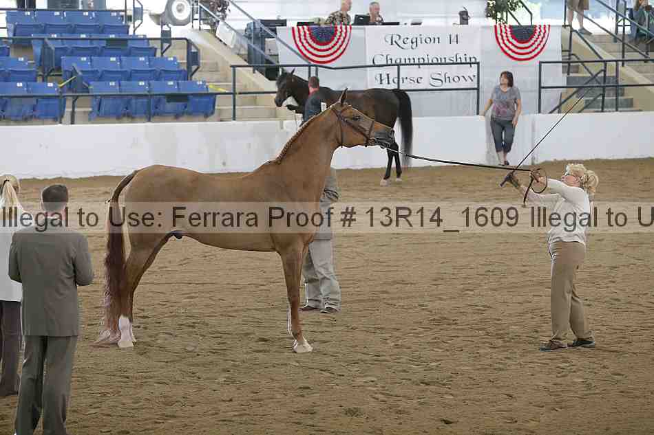 Proof 13r14_1609