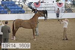 13r14_1609 proof