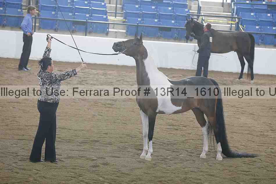 Proof 13r14_1610
