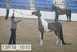 13r14_1610 proof