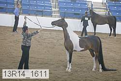 13r14_1611 proof