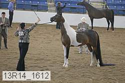 13r14_1612 proof