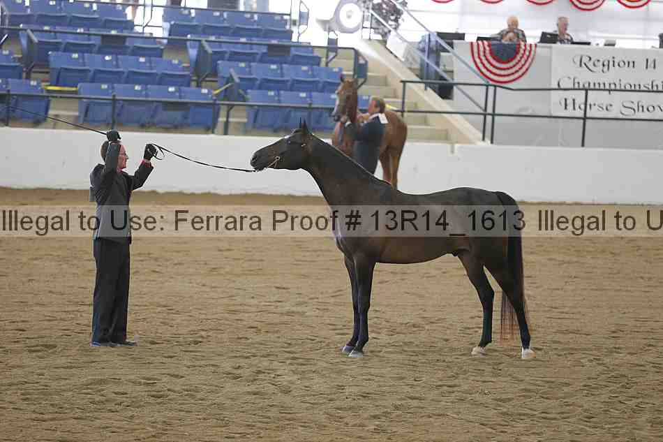 Proof 13r14_1613