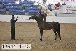 13r14_1613 proof
