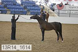 13r14_1614 proof