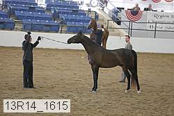 13r14_1615 proof