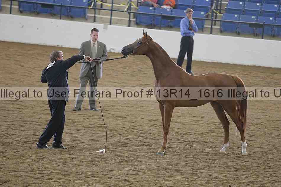Proof 13r14_1616