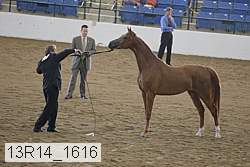 13r14_1616 proof