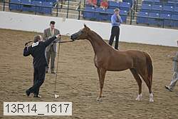 13r14_1617 proof