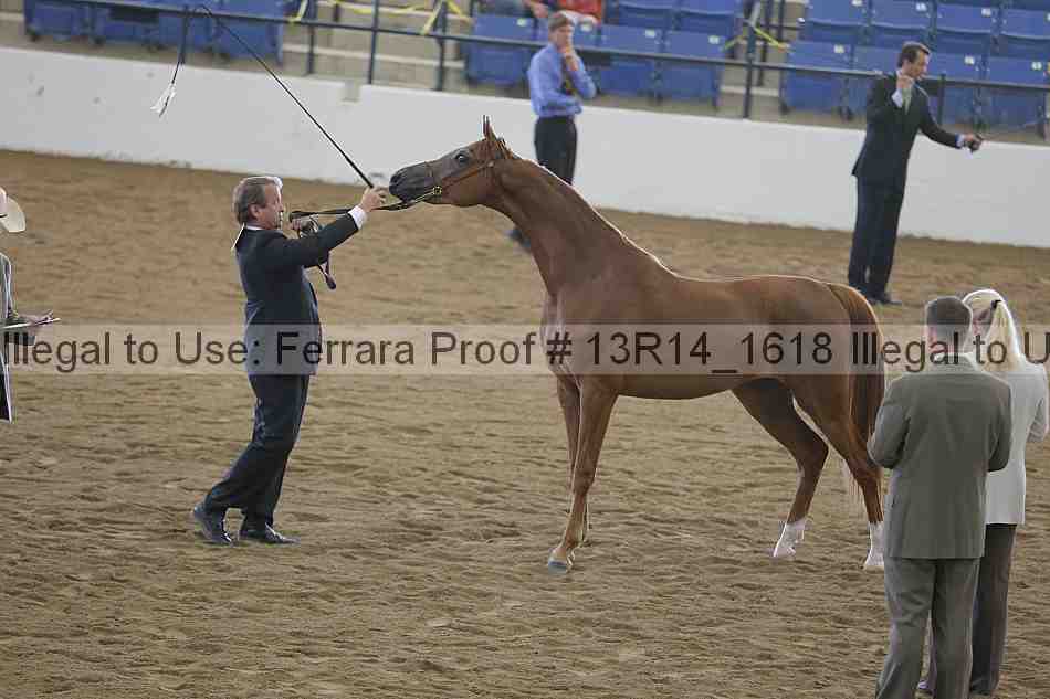 Proof 13r14_1618