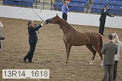 13r14_1618 proof