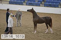 13r14_1619 proof