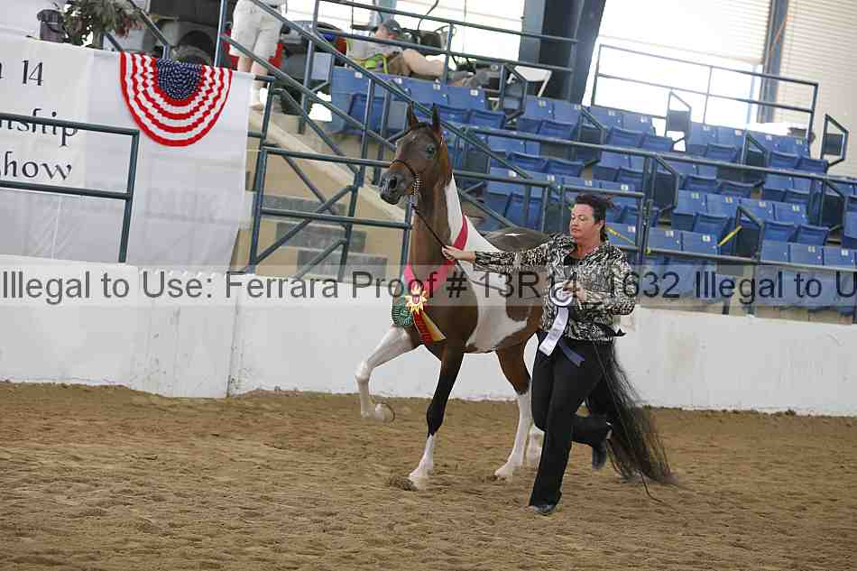 Proof 13r14_1632