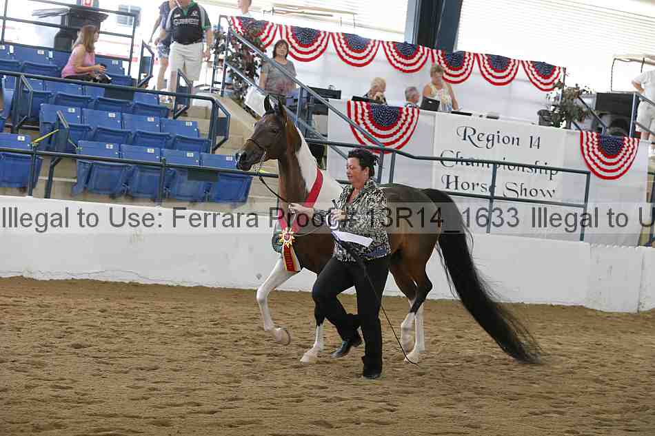 Proof 13r14_1633