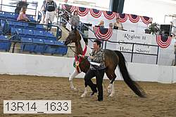 13r14_1633 proof