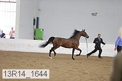 13r14_1644 proof