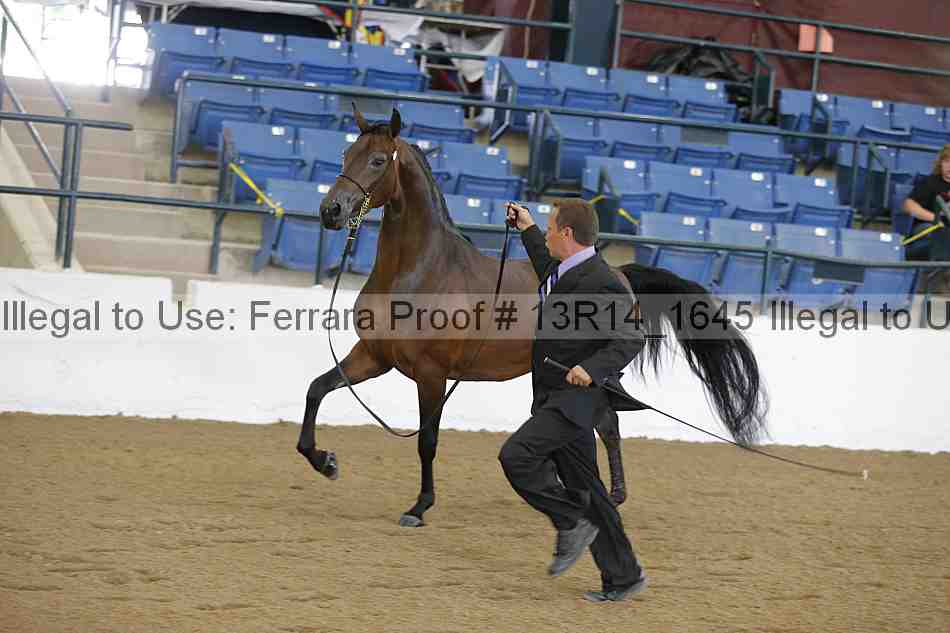 Proof 13r14_1645