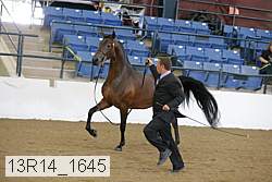 13r14_1645 proof