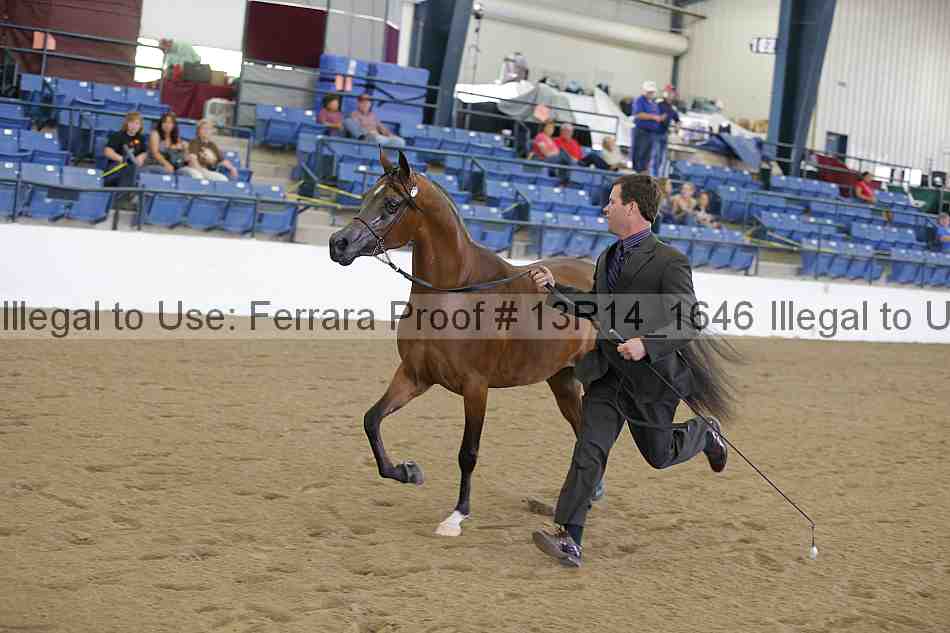 Proof 13r14_1646