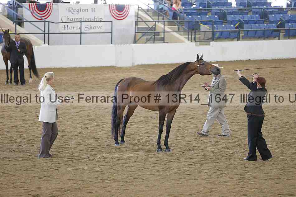 Proof 13r14_1647