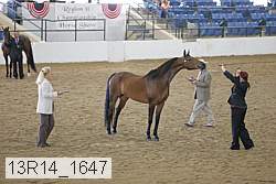 13r14_1647 proof