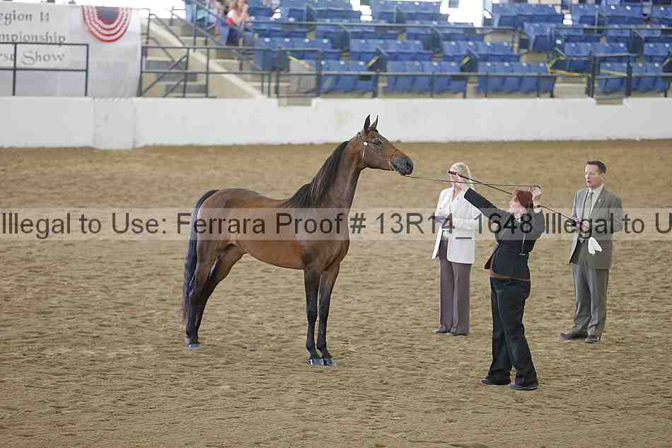 Proof 13r14_1648