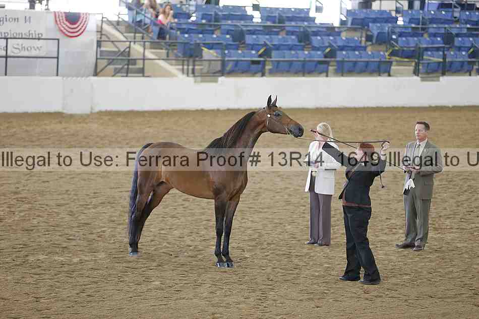 Proof 13r14_1649