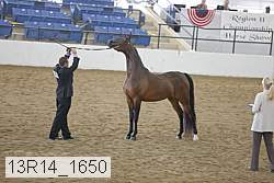 13r14_1650 proof