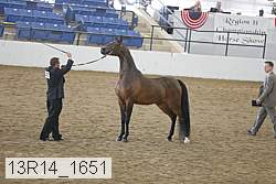 13r14_1651 proof