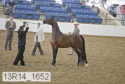 13r14_1652 proof