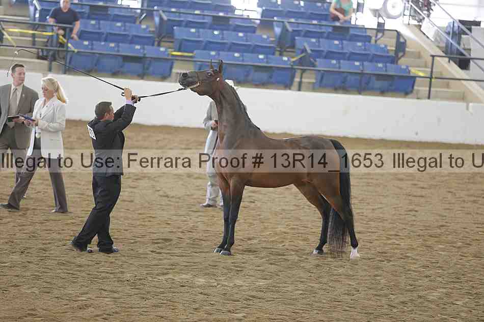 Proof 13r14_1653