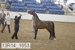 13r14_1653 proof