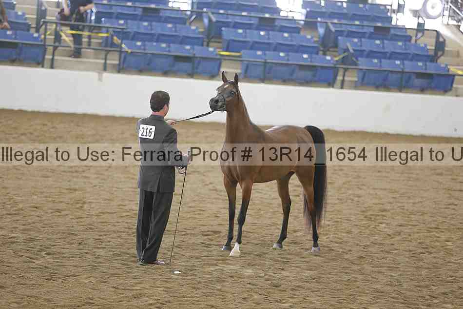 Proof 13r14_1654