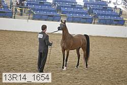 13r14_1654 proof
