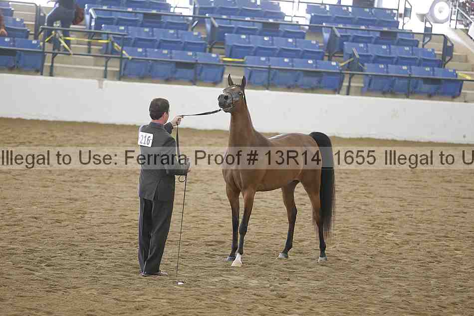 Proof 13r14_1655