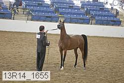 13r14_1655 proof