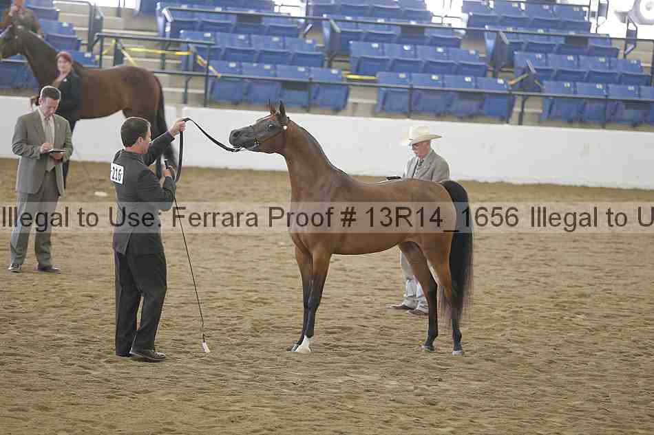Proof 13r14_1656